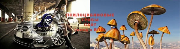 apvp Наволоки