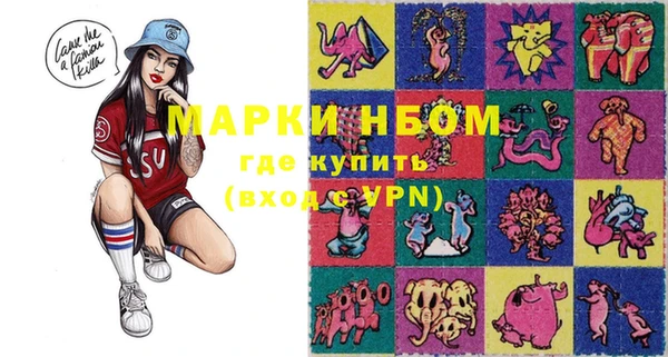 прущие грибы Михайловка
