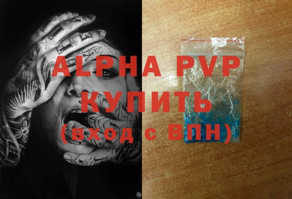 прущие грибы Михайловка