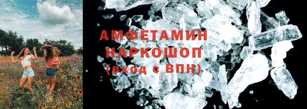 прущие грибы Михайловка