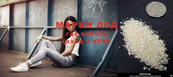 спиды Бердск