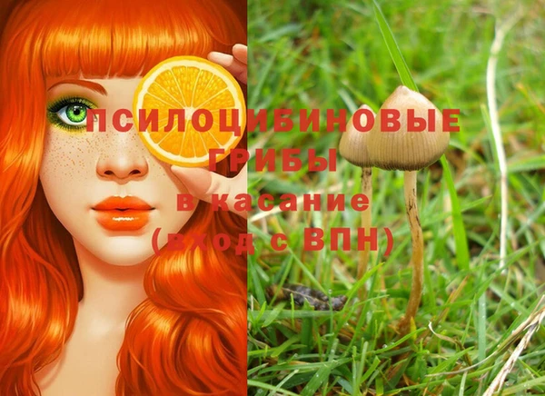 apvp Наволоки
