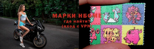 прущие грибы Михайловка