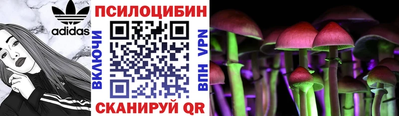 Галлюциногенные грибы мухоморы  где продают   Никольск 